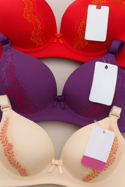 Silk Embroidered Padded Bra for Women – Luxury Undergarment with Soft Silk Fabric, Stylish Embroidery, Comfortable Fit & Everyday Support (Random Color) - 36