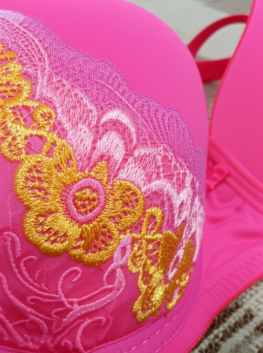 Silk Embroidered Padded Bra for Women – Luxury Undergarment with Soft Silk Fabric, Stylish Embroidery, Comfortable Fit & Everyday Support (Random Color) - 36